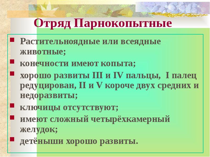 Презентация отряд парнокопытные 7 класс биология