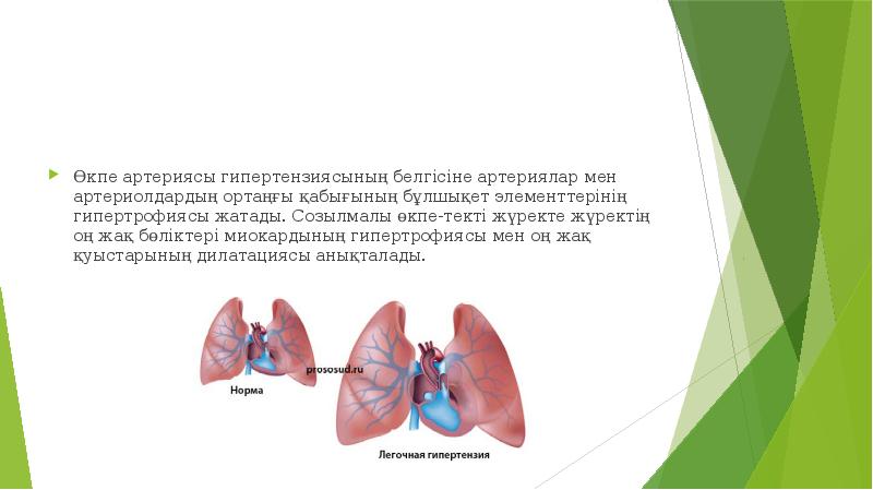 Өкпе жүрек жетіспеушілігі презентация