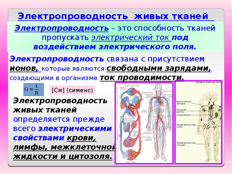 Геометрические свойства тканей