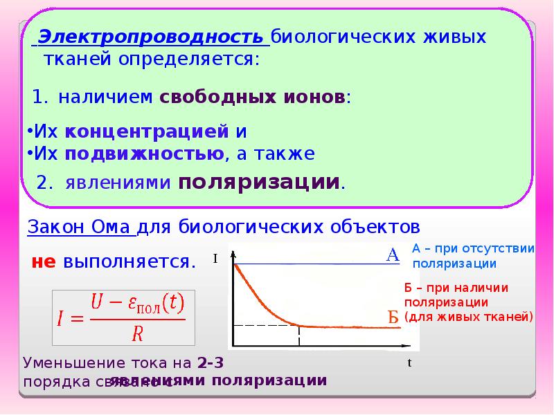 Эл 6