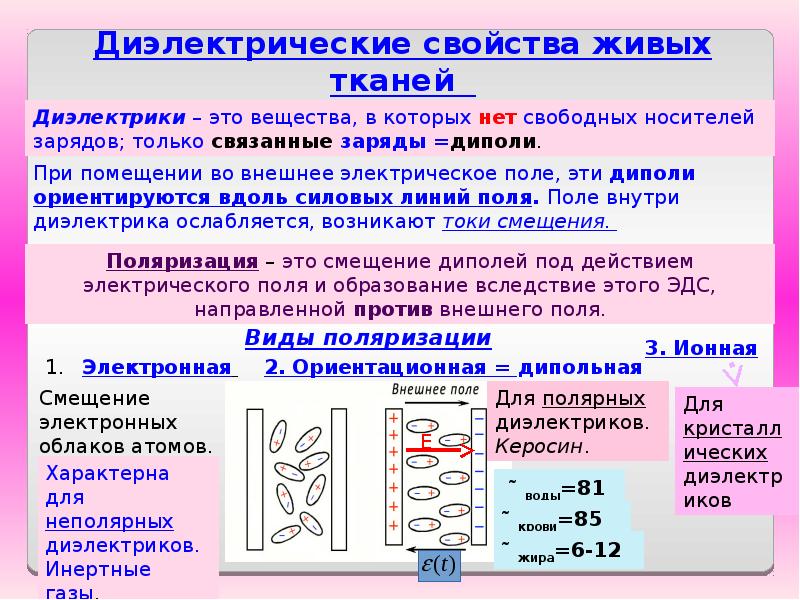 Механические свойства биологических тканей презентация