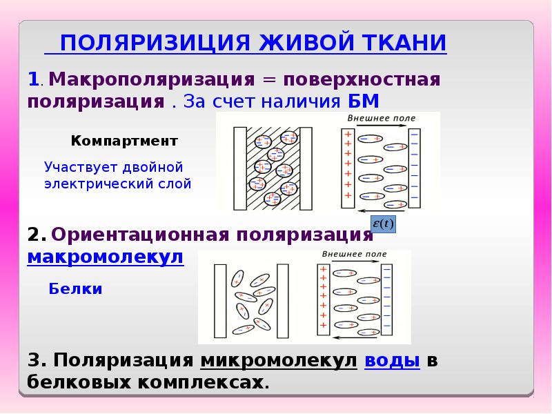 Эл 6. Природа емкостных свойств тканей организма. Электрические свойства биологических тканей. Пассивные электрические свойства биологических тканей. Емкостные свойства ткани.