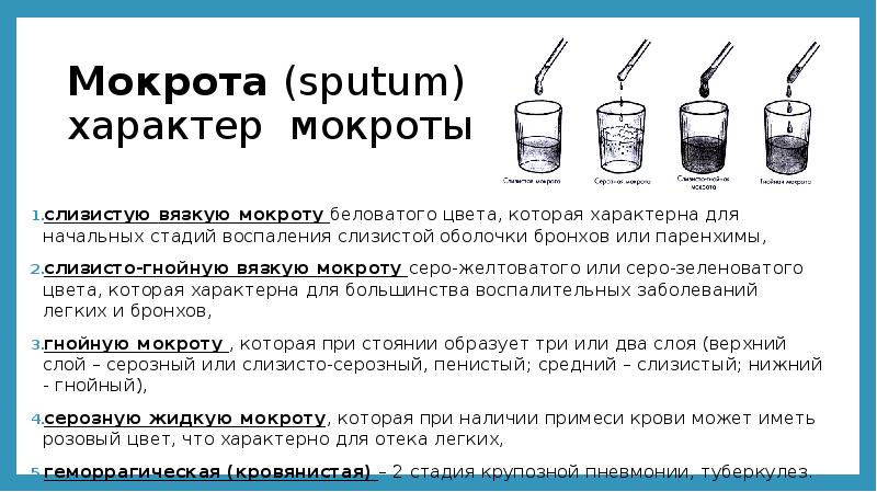 Самые легкие презентации