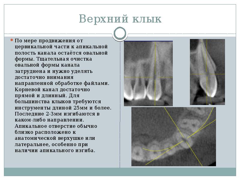 Проект на тему морфология