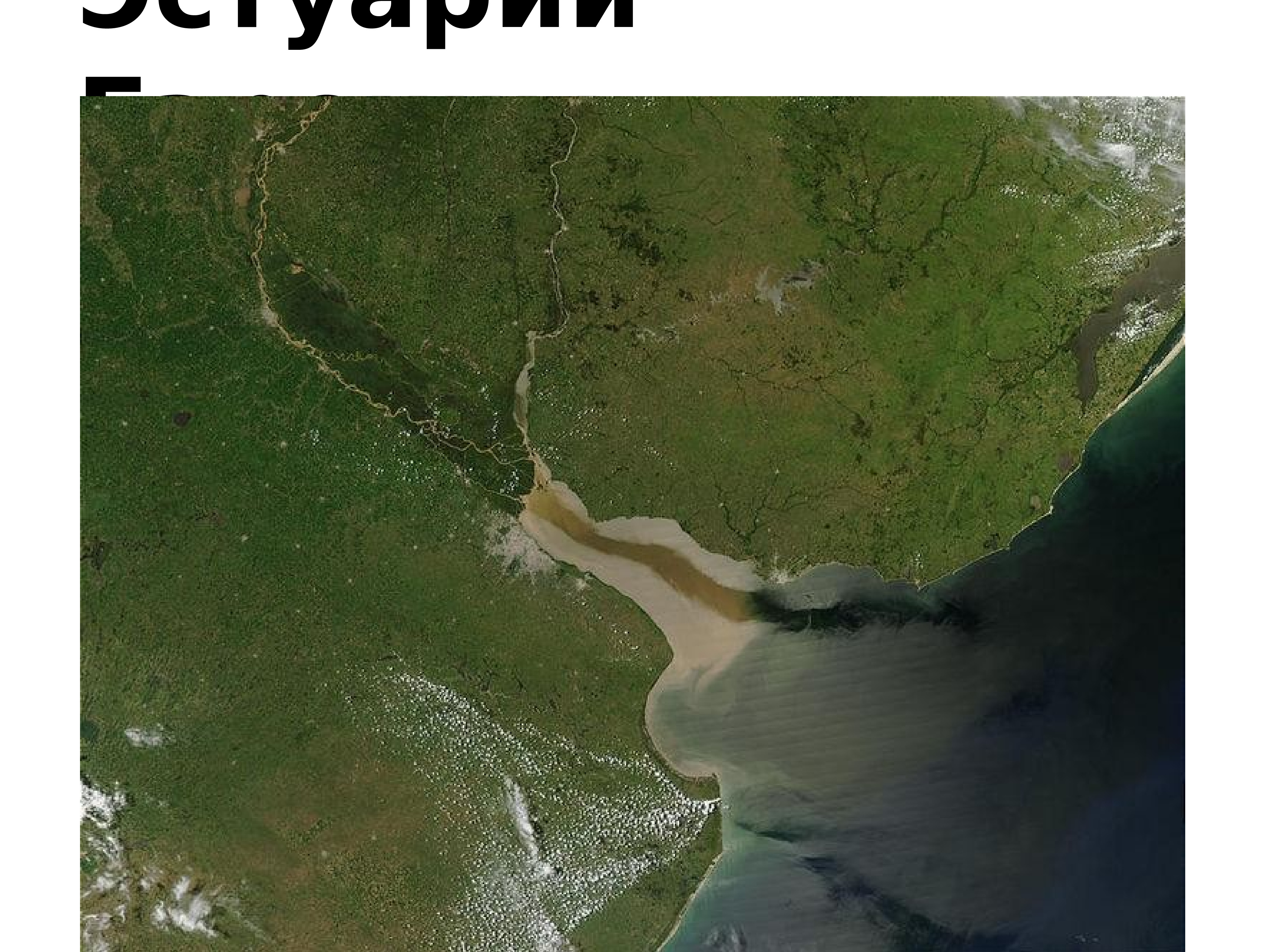 Устье реки Волга