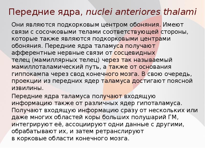 Передние ядра, nuclei anteriores thalami
Они являются подкорковым центром обоняния. Имеют Передние ядра, nuclei anteriores thalami
Они являются подкорковым центром обоняния. Имеют