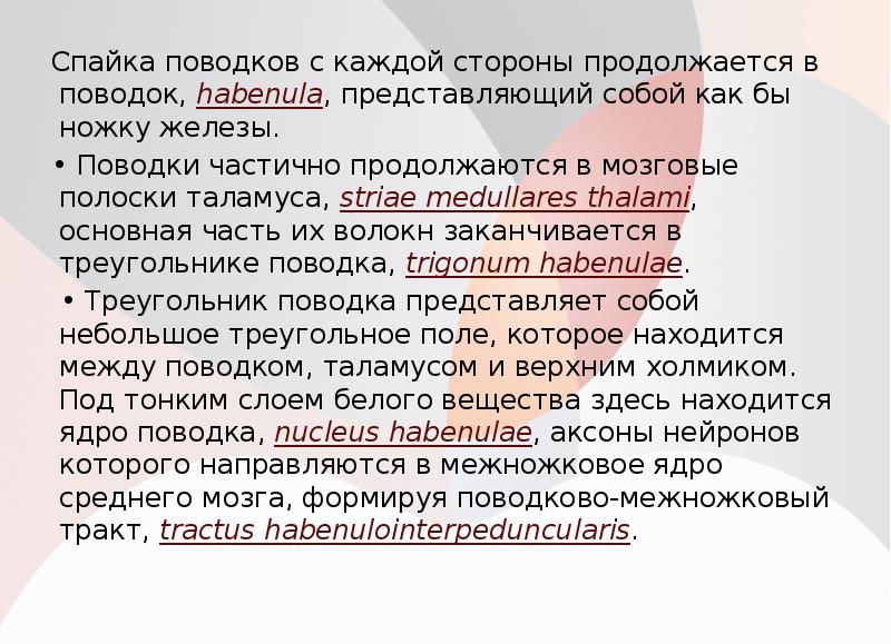 Спайка поводков с каждой стороны продолжается в поводок, habenula, представляющий собой Спайка поводков с каждой стороны продолжается в поводок, habenula, представляющий собой