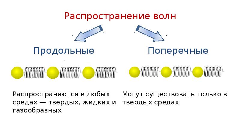 Поперечные волны примеры