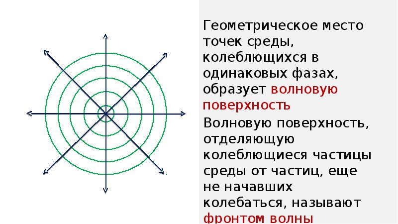 Точки окружение. Геометрическое место точек среды колеблющихся в одинаковых фазах. Распространение колебаний в упругой среде. Продольные волны в упругой среде. Продольные и поперечные волны в упругой среде.