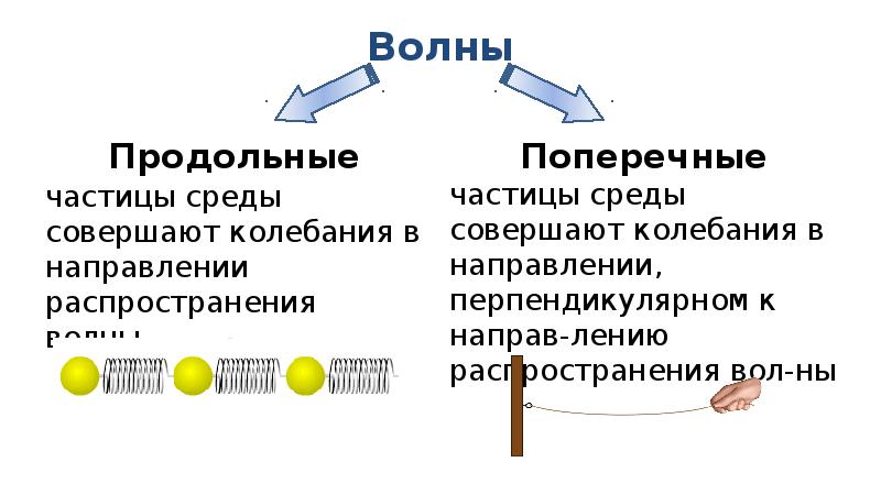 В каких средах могут возникать продольные волны