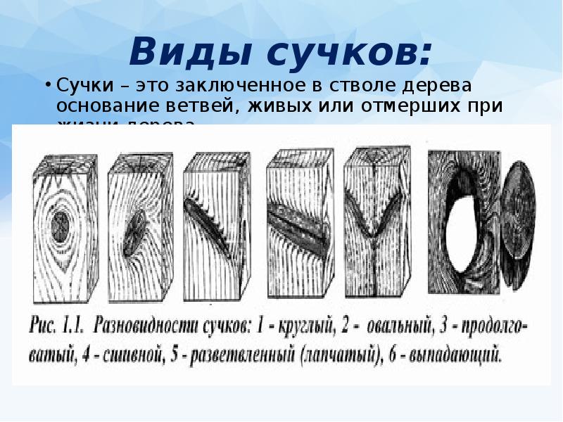 Профессии связанные с производством и обработкой древесины защита проекта изделие из древесины