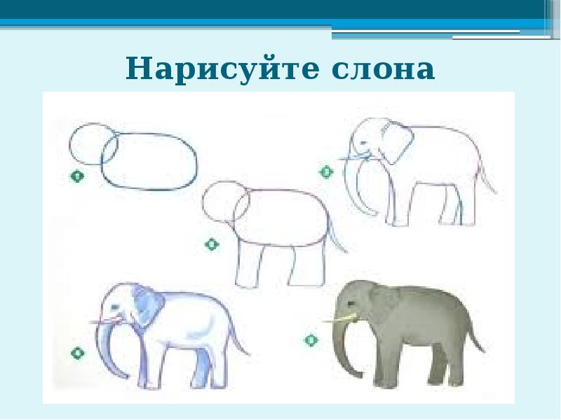 Как рисовать слона. Схема изображения слона. Нарисовать слона. Слон рисунок схема. Схема рисования слона для детей.