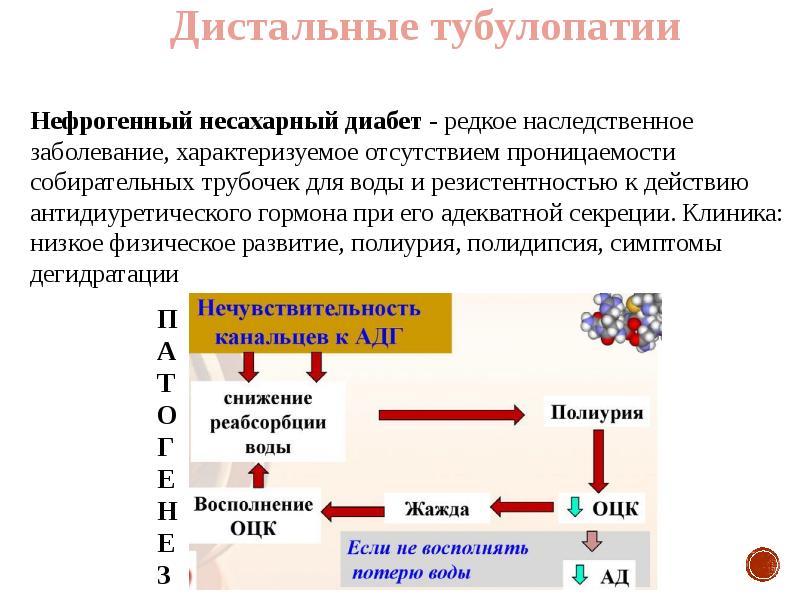 Тубулопатии у детей презентация