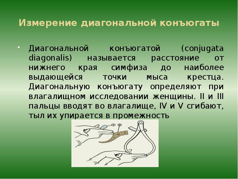 Внутреннее измерение. Измерение диагональной конъюгаты. Методика измерения диагональной конъюгаты. Методы измерения истинной конъюгаты. Измерение диагональной конъюгаты алгоритм.