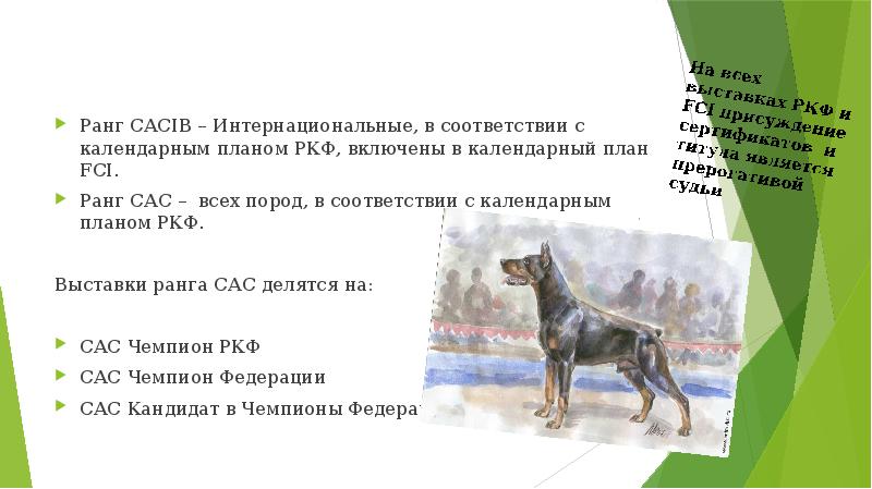 Опубликован календарь выставок Союза Кинологов Казахстана на 2023 год