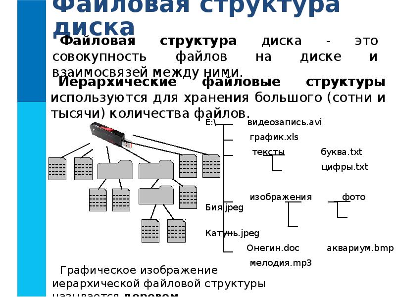 Файловая система информатика 7 класс презентация