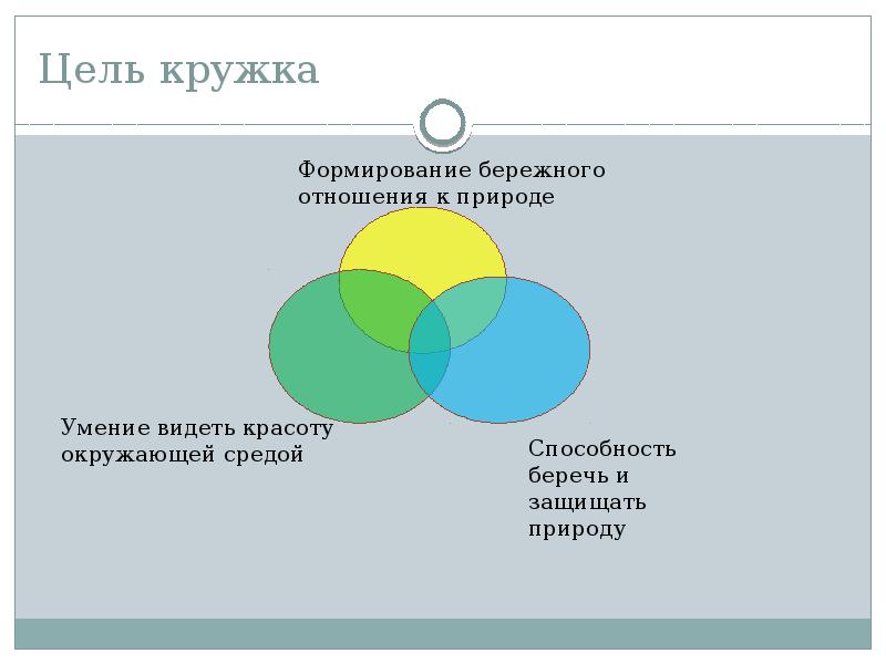 Цели кружка. Цель кружков. Цели в кружках. Круг целей. Цель кружков рисунок.