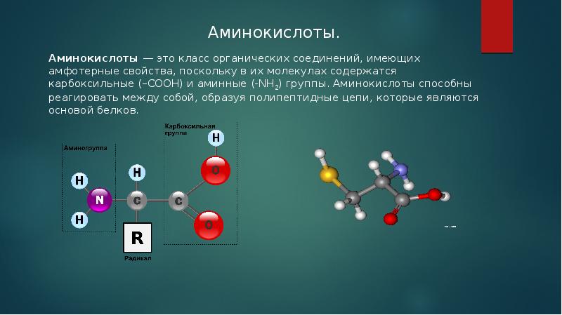 Амины и аминокислоты презентация