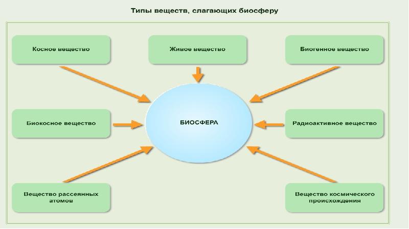 Типы живого вещества. Типы веществ в биосфере. Живое вещество биосферы и его функции 9 класс.