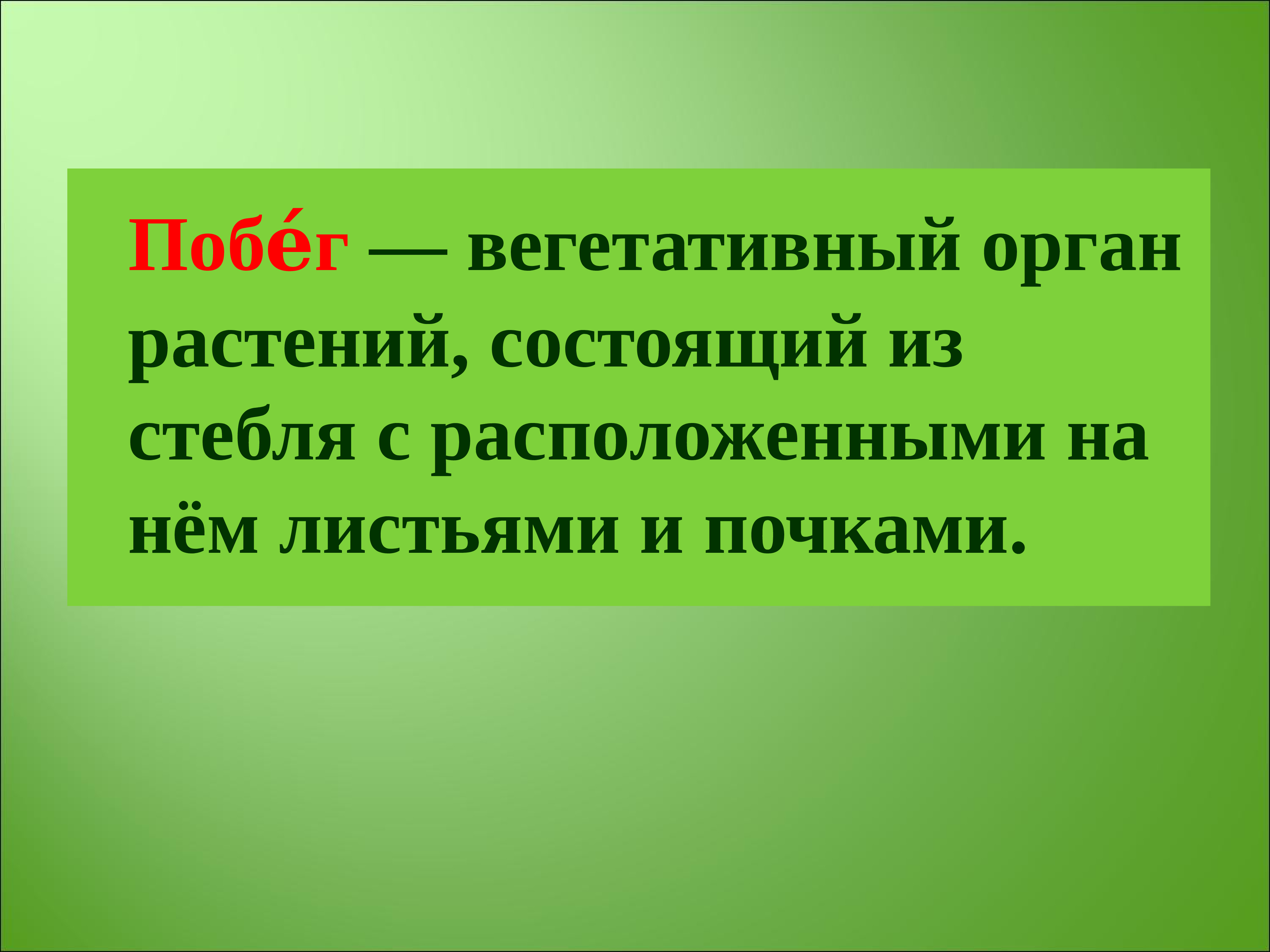 Огэ ботаника презентация