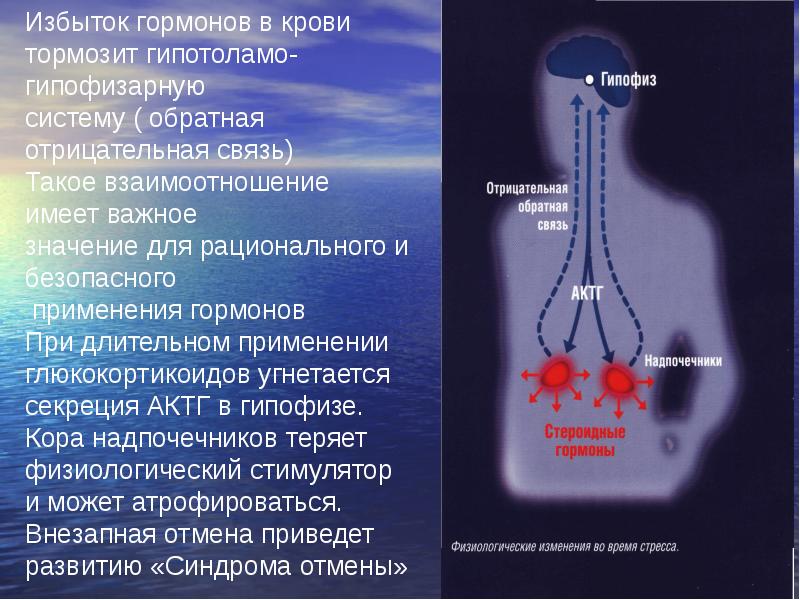 Избыток гормона роста вызывает. Препараты гормонов коры надпочечников. Кровь на гормоны надпочечников. Гормоны доклад.