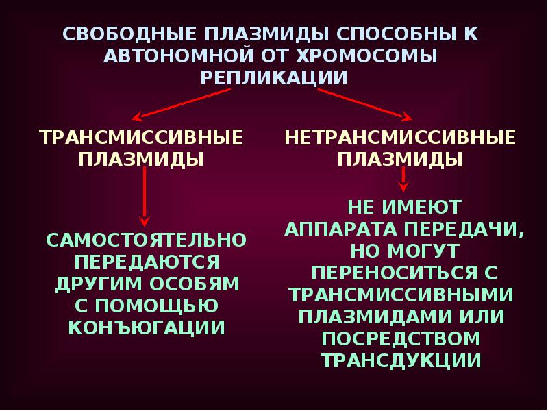 Обработка плазмидами