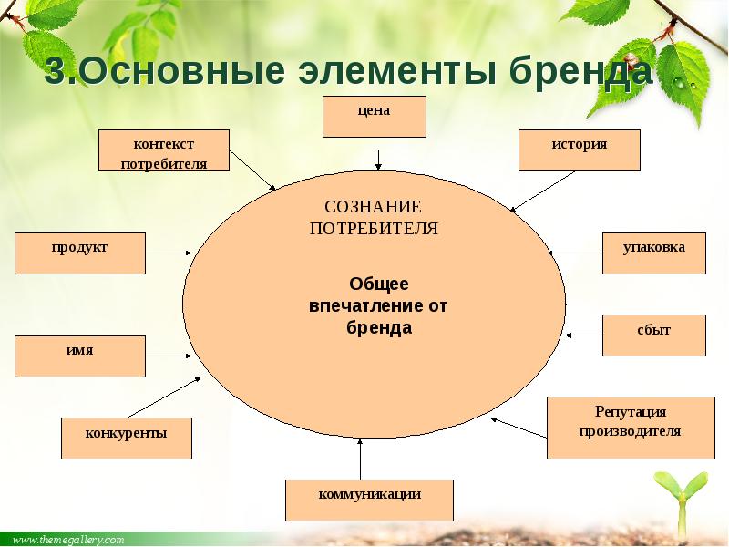 3.Основные элементы бренда 3.Основные элементы бренда