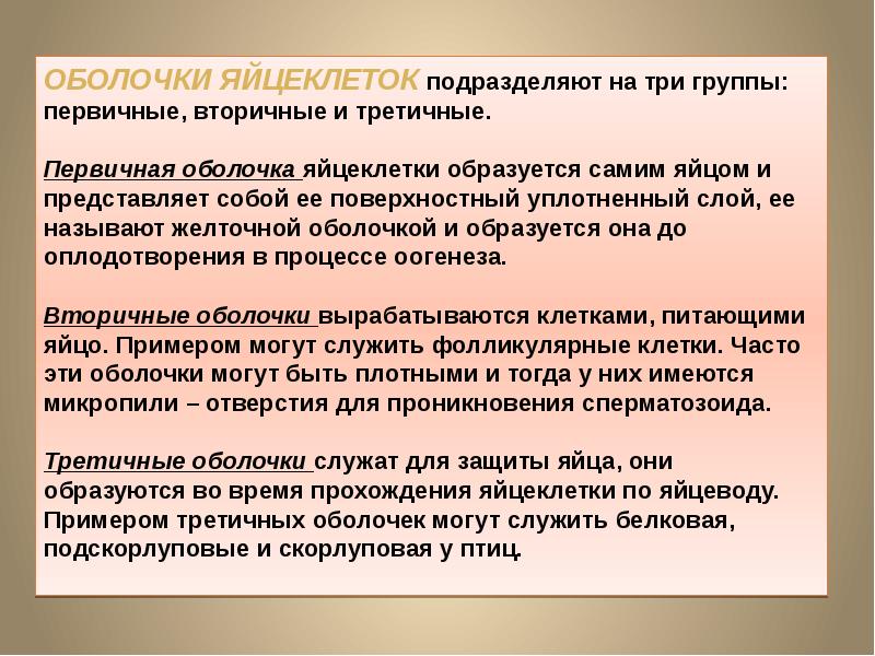 Образуются наиболее часто. Первичная и вторичная оболочки яйцеклетки. Первичная оболочка. Первичное и вторичное обсеменение. Общество первичные во вторичные.