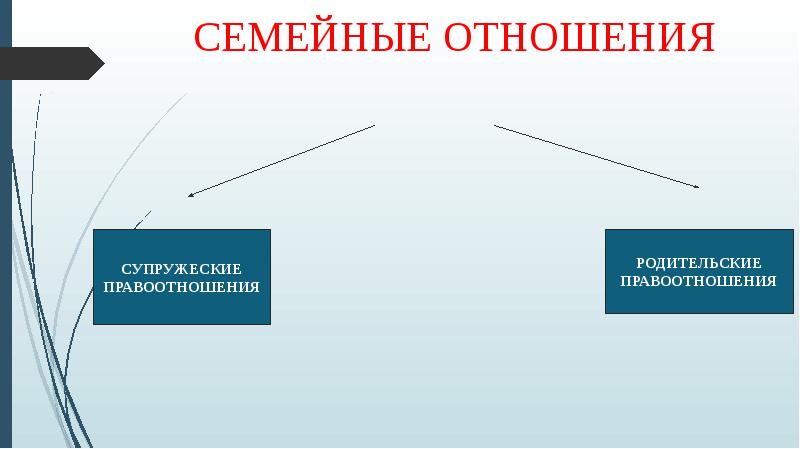 Проект по обществознанию 9 класс на тему семейные правоотношения