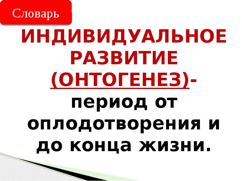 ИНДИВИДУАЛЬНОЕ РАЗВИТИЕ (ОНТОГЕНЕЗ)- период от оплодотворения и до конца жизни. ИНДИВИДУАЛЬНОЕ РАЗВИТИЕ (ОНТОГЕНЕЗ)- период от оплодотворения и до конца жизни.