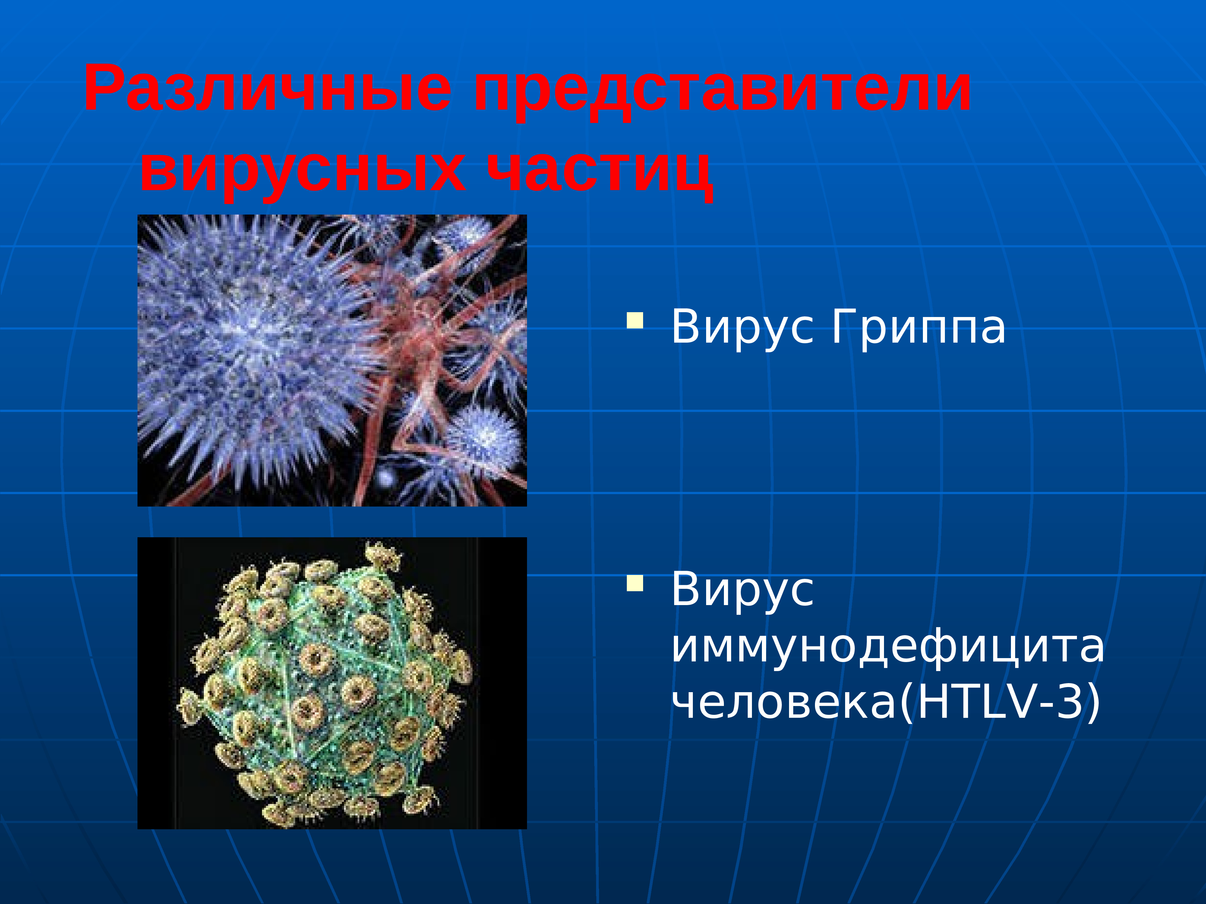 Какие есть вирусы. Представители вирусов. Вирусы микробиология. Различные представители вирусных частиц. Вирусы презентация.