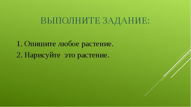 Выполните задание: 1. Опишите любое растение. 2. Нарисуйте это растение.