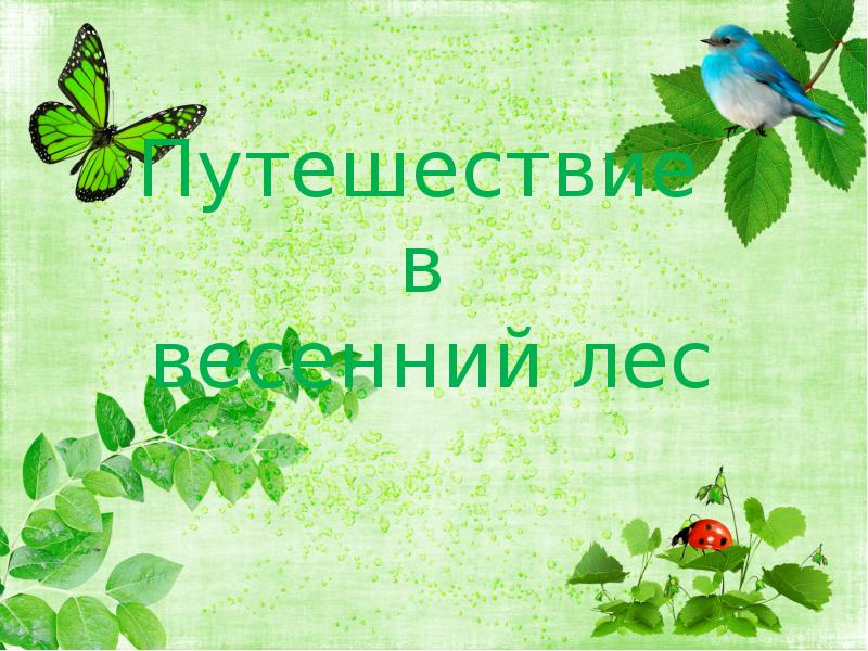 Презентация весенний лес