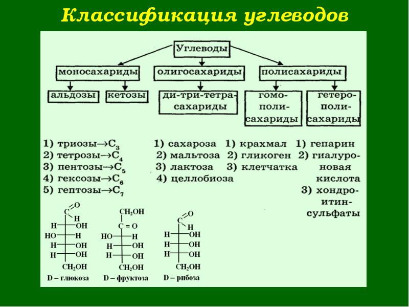 Дисахариды и полисахариды 10 класс химия презентация