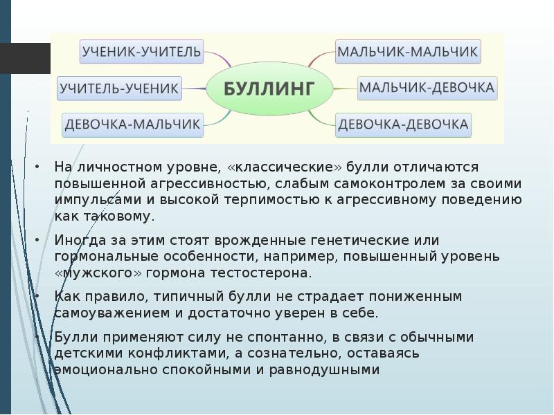 Проект буллинг заключение