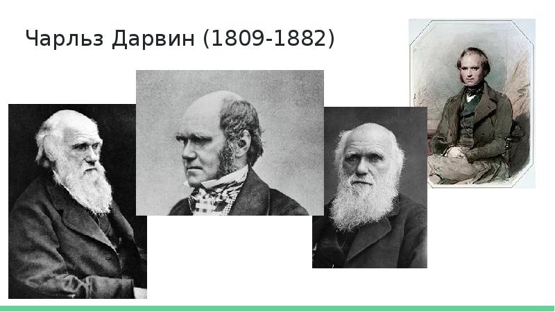 Дарвин сторонник. Теория социального дарвинизма. Социал дарвинизм. Укрепление дарвинизма.