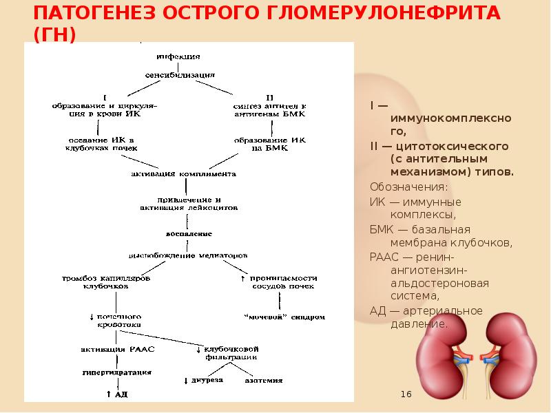 Синдром конна презентация патофизиология