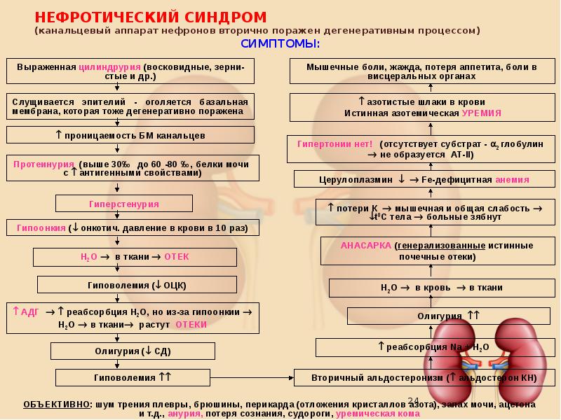 Синдром конна презентация патофизиология