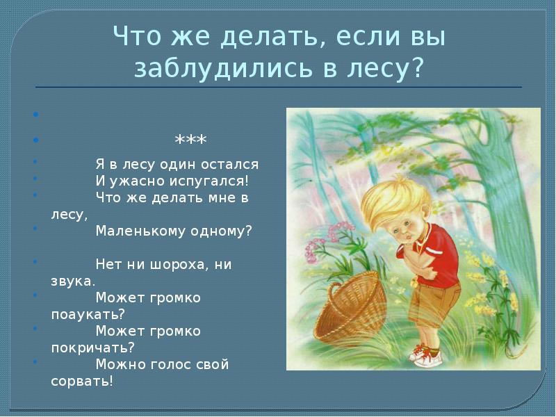 Если вы заблудились в лесу крикните белоруссия. Заблудилась что ответить. Если заблудился в лесу. Памятка чтобы не заблудиться в лесу. Заблудилась что ответить.