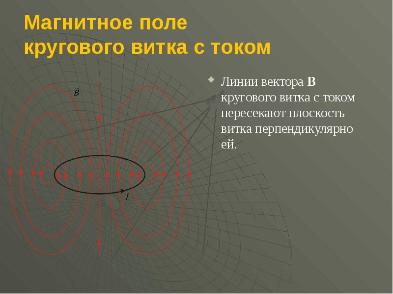 Теория магнетизма какая картина мира