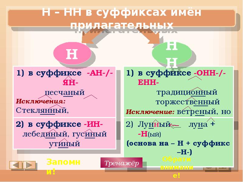 Егэ н и нн презентация