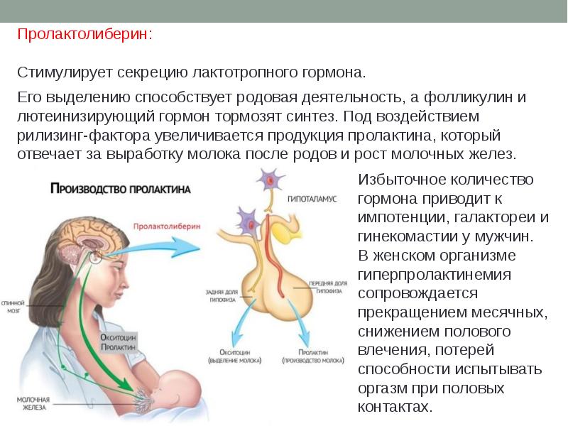 Гормоны гипоталамуса. Гормон стимулирующий родовую деятельность. Пролактин структура. Пролактин рилизинг гормон. Пролактин рилизинг фактор.