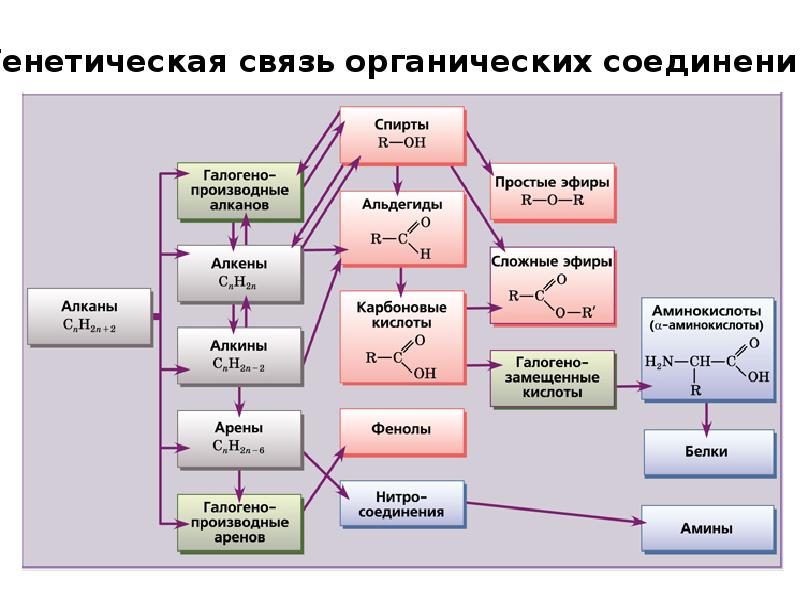 Дайте определение всех классов веществ приведенных в схеме на с 259 на какие