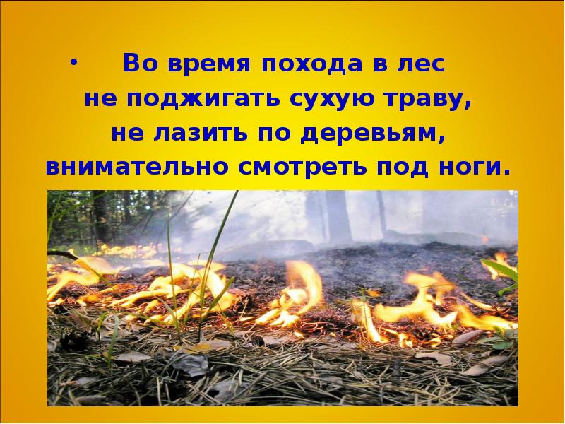 Почему нельзя поджигать. Не поджигайте лес. Не поджигать лес. Плакат на тему не поджигать лес. Плакат что лес поджигать нельзя.