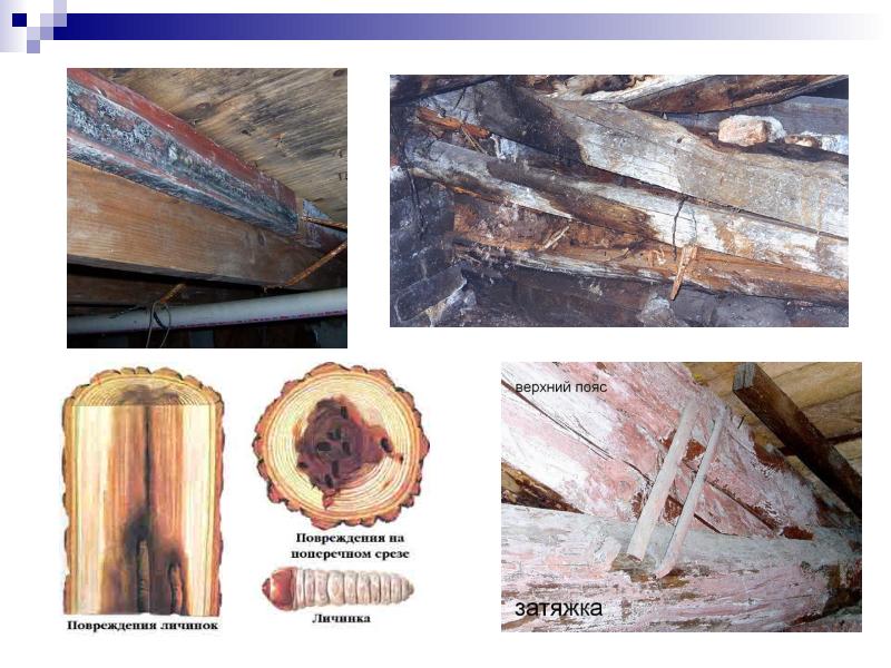обследование деревянных конструкций