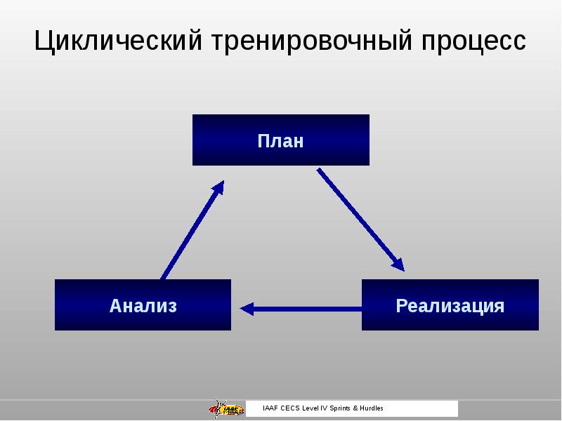 Принцип цикличности тренировочного процесса презентация