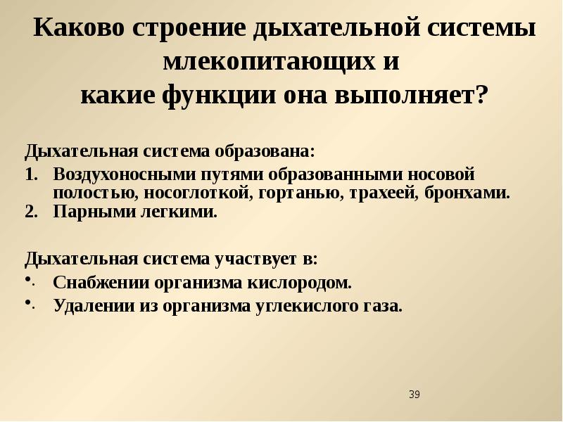 Млекопитающие какое дыхание. Органы дыхания у млекопитающих 7 класс. Дыхательная система млекопитающих функции. Дыхательная система млекопитающих кратко. Внутреннее строение млекопитающих.