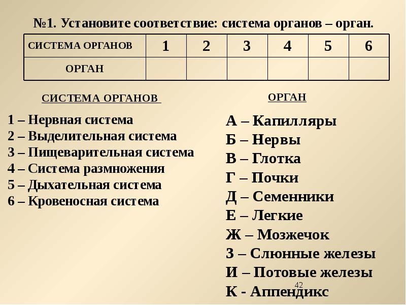 Соответствие органов. Установите соответствие система органов орган. Установите соответствие система органов орган таблица. Установите соответствие между органами и системами органов. Установите соответствие система органов орган млекопитающие.