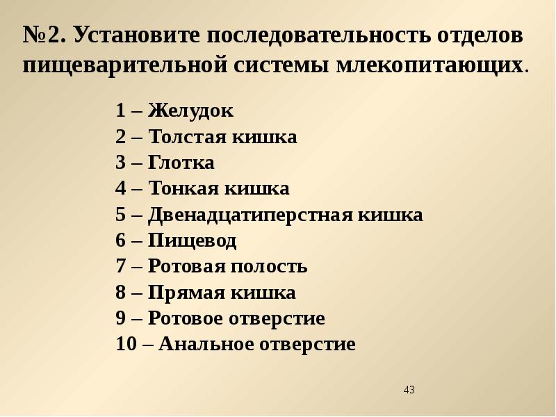 Последовательность пищеварения. Последовательность отделов пищеварительной системы млекопитающих. Порядок пищеварительной системы у млекопитающих. Органы пищеварительной системы у млекопитающих последовательность. Установите последовательность отделов пищеварения.