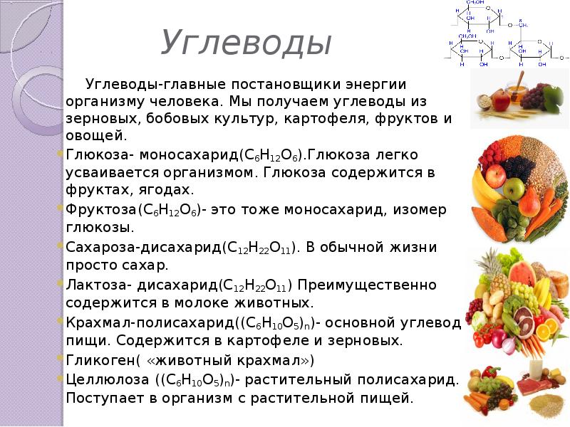 Углеводы в организме человека. Основные углеводы пищи. Углеводы пищи биохимия. Строение основных углеводов пищи. Овощи и фрукты содержащие углеводы.